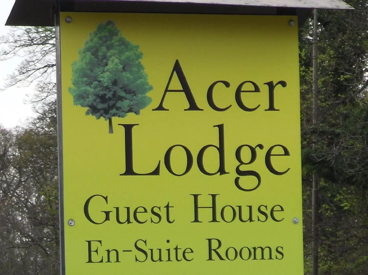 Acer Lodge Guest House CONFERENCE