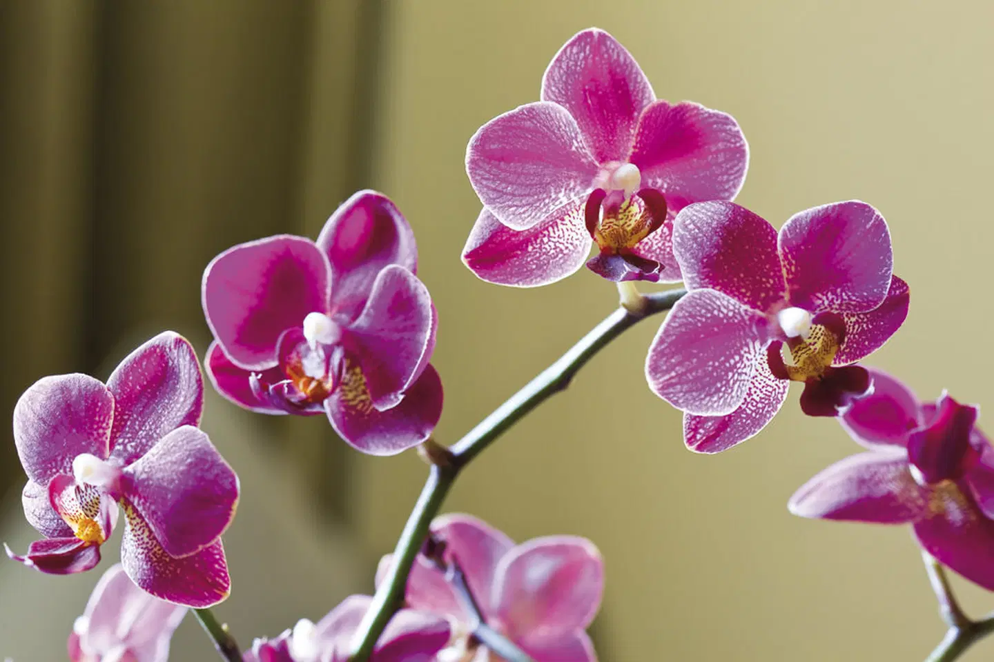 Mövenpick Hotel Münster LANDSCAPE