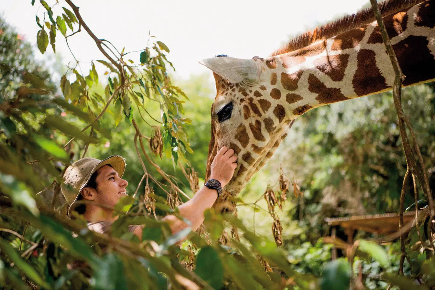 Governors' Camp Collection Kenia Tiere