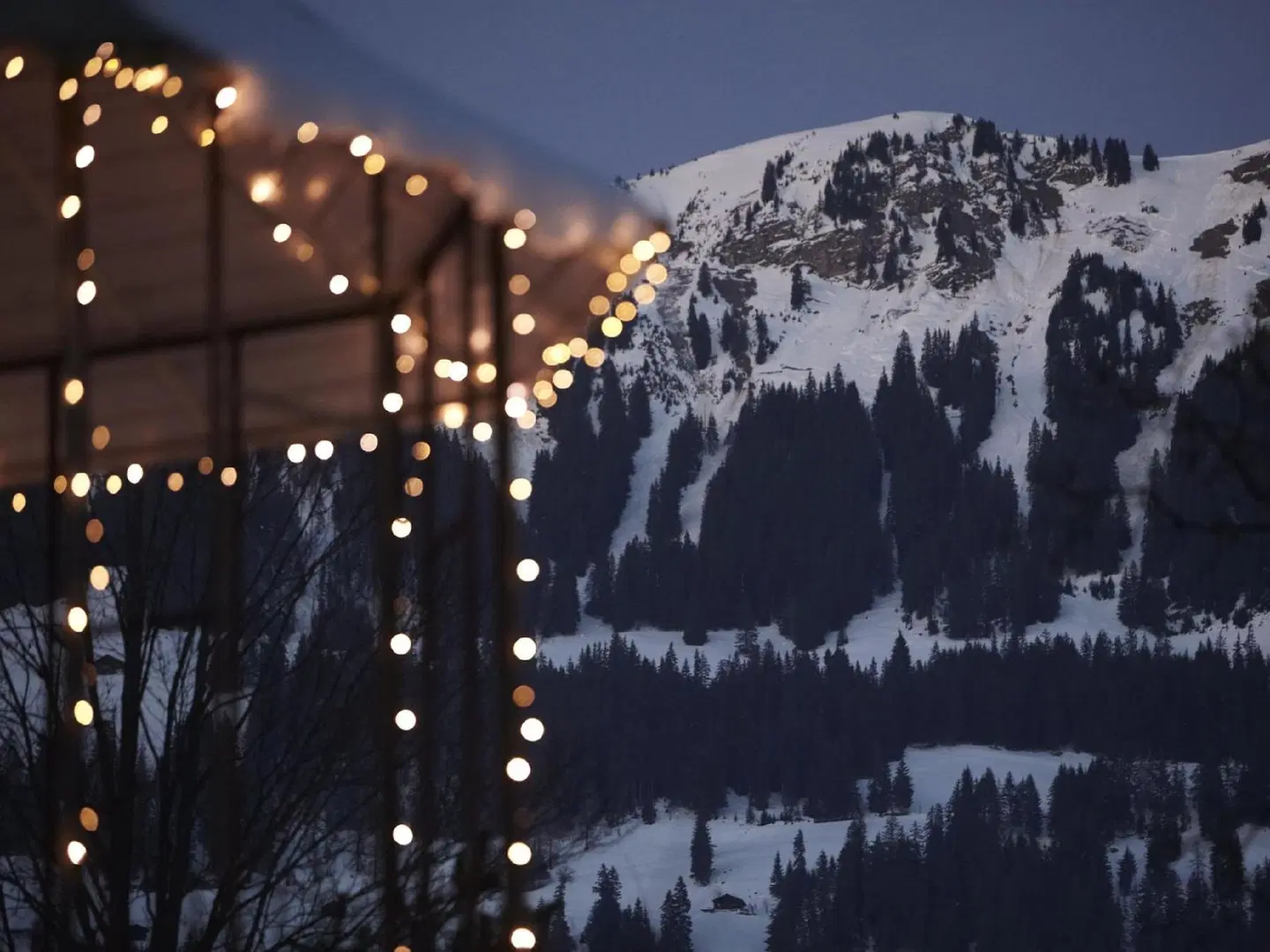 Lenkerhof Gourmet spa resort LANDSCAPE