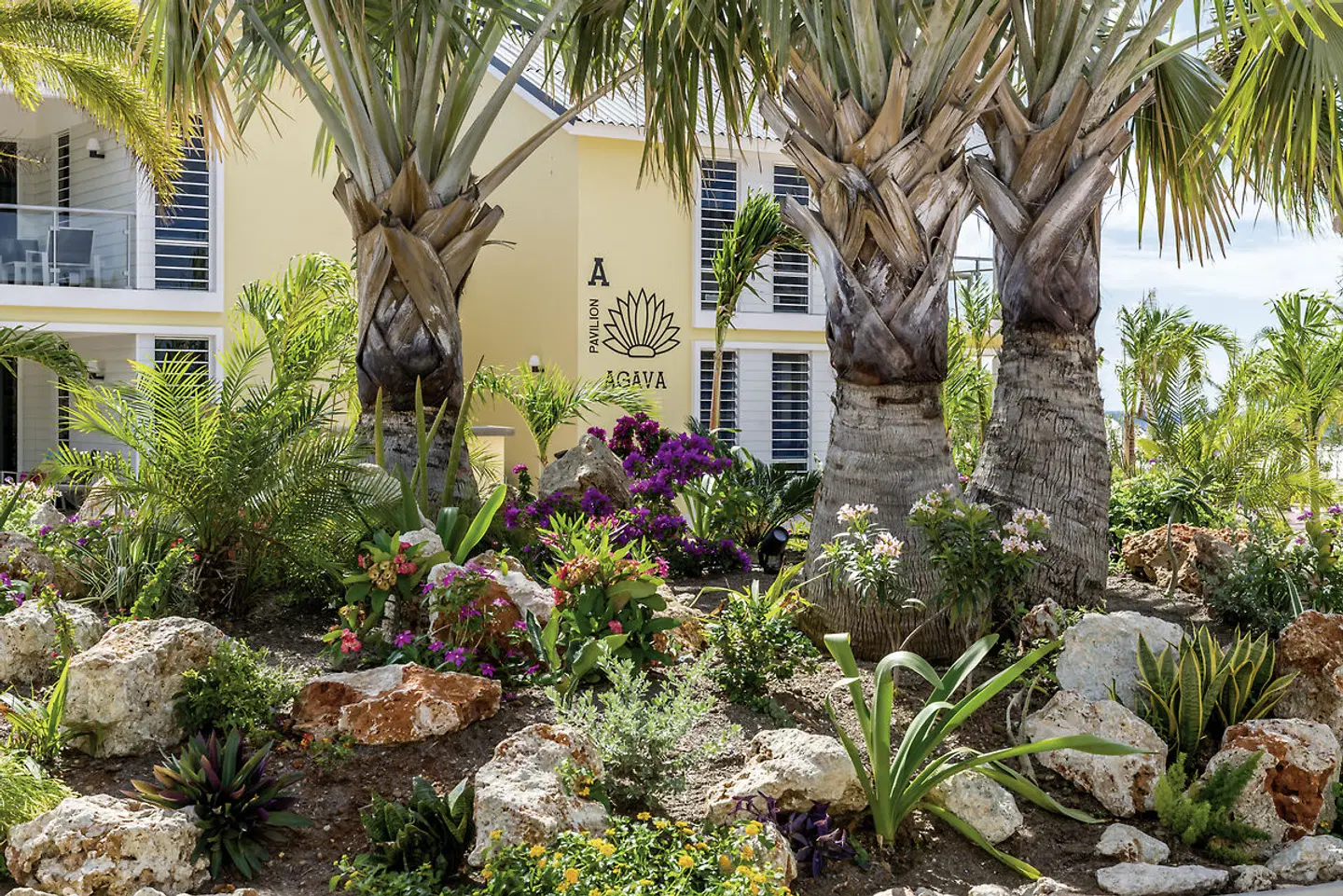 Delfins Beach Resort Bonaire, Tapestry Collection by Hilton GARDEN