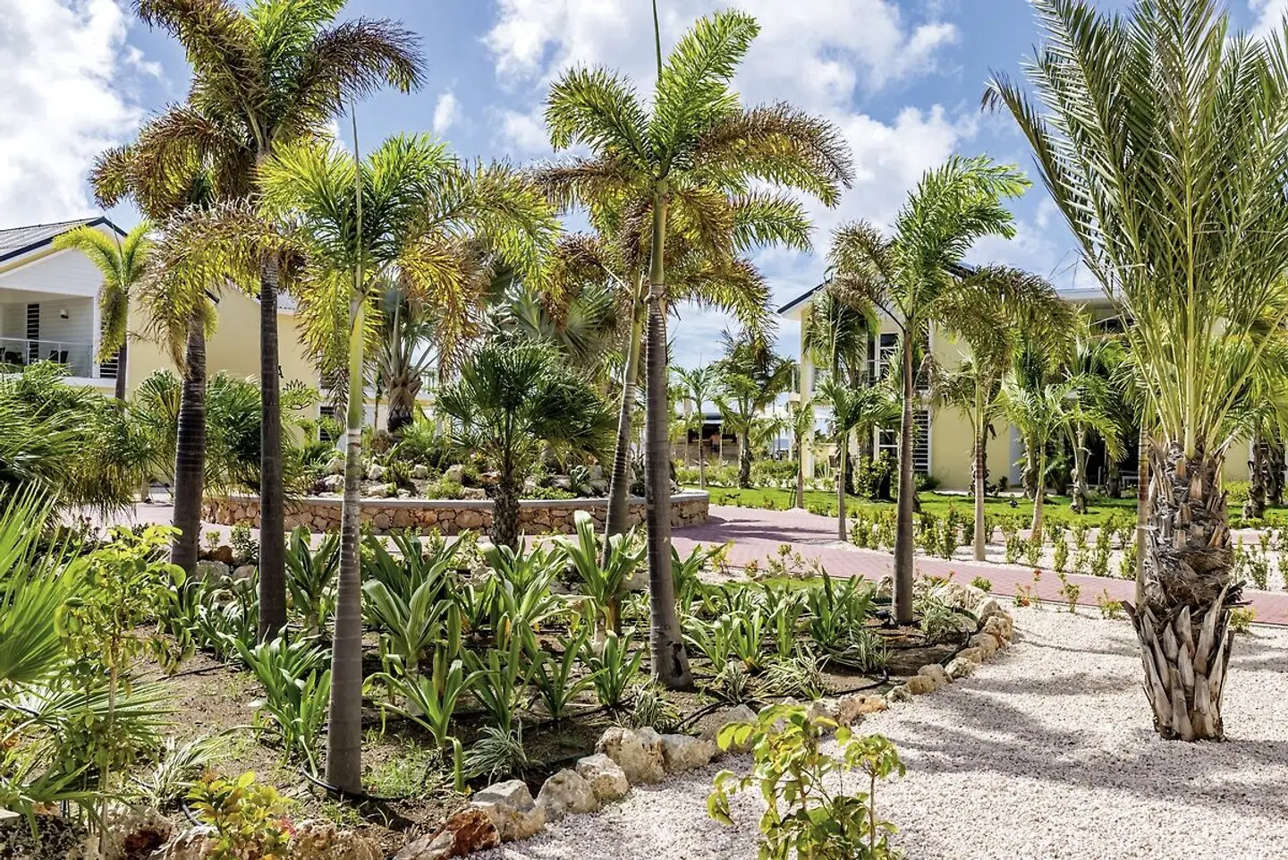Delfins Beach Resort Bonaire, Tapestry Collection by Hilton GARDEN