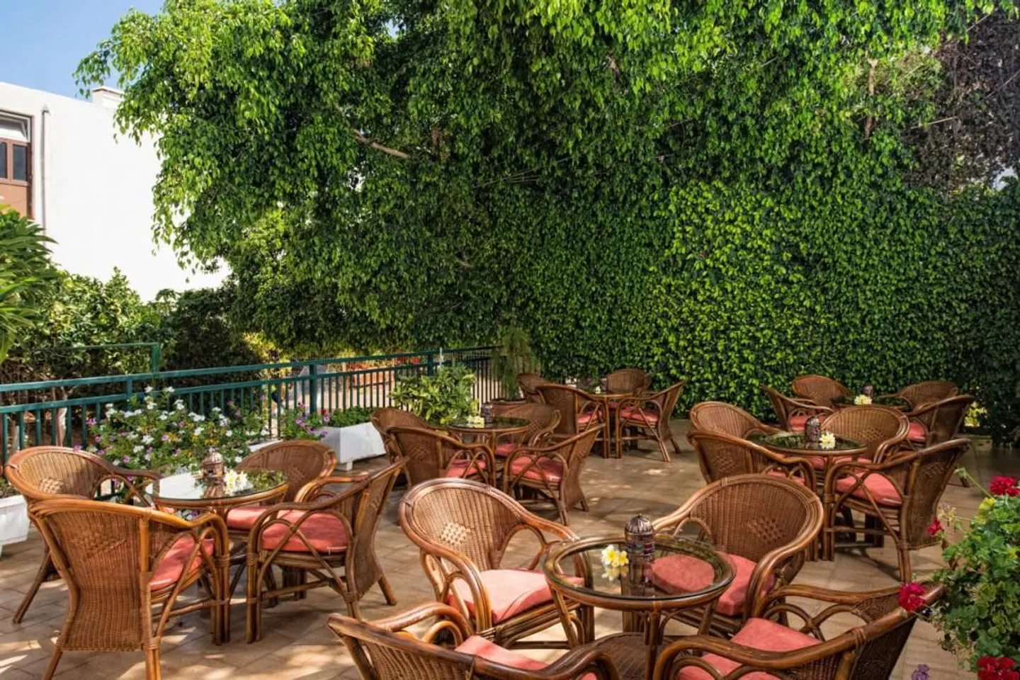 Malia Holidays Terrasse