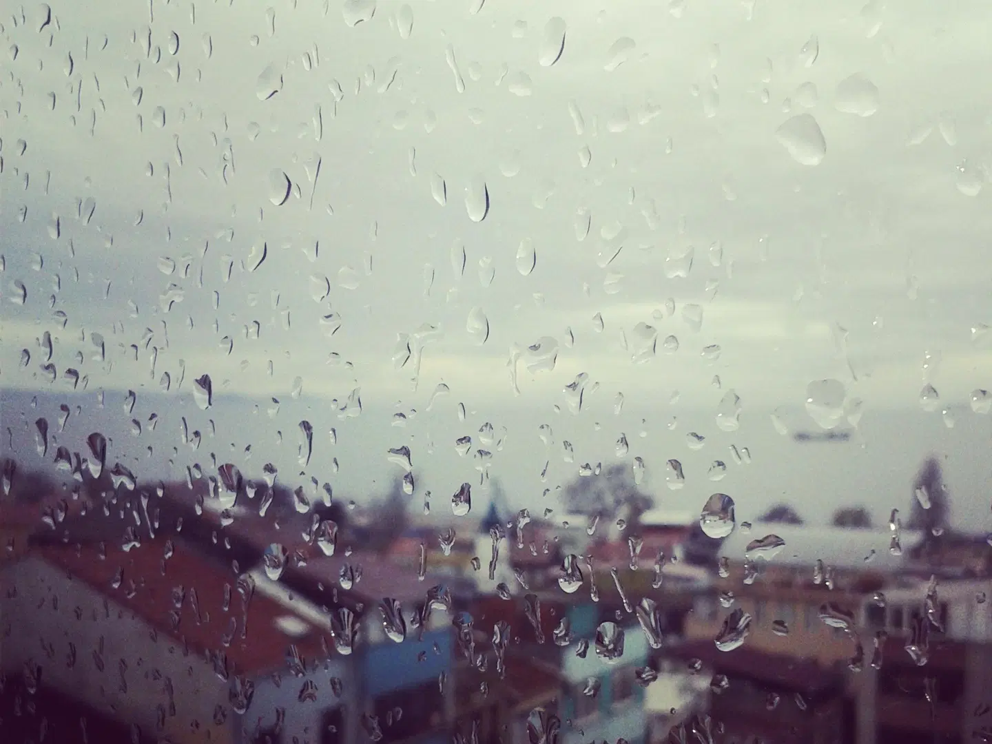 Sayeban Hotel Istanbul LANDSCAPE