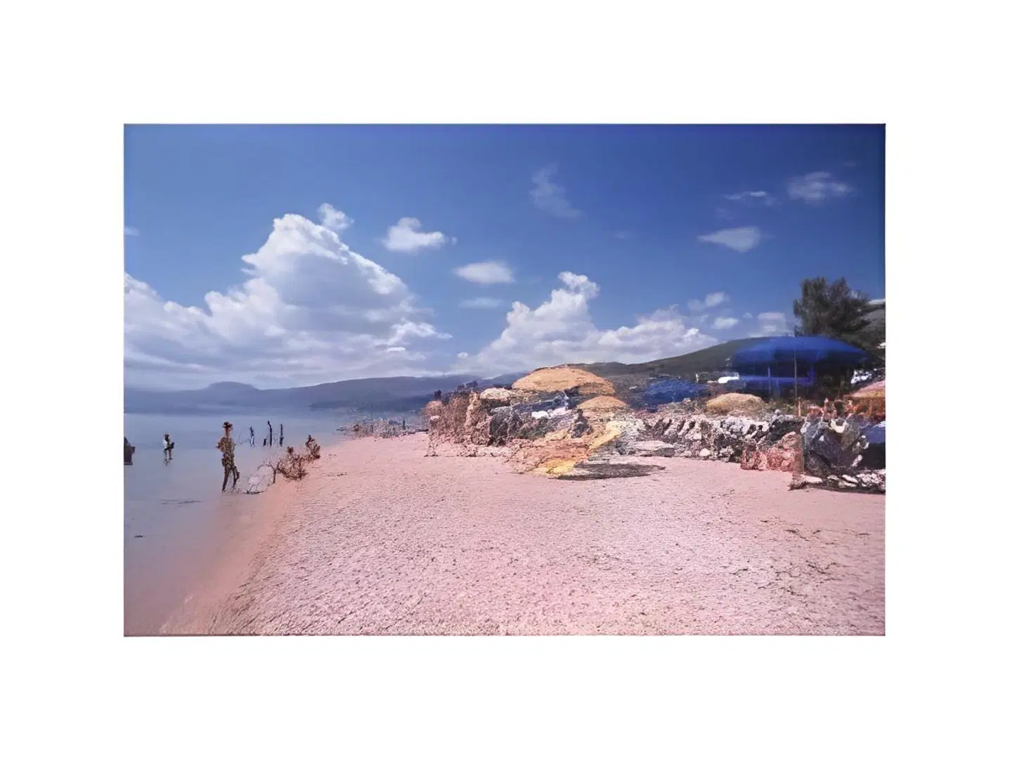 Hotel Ristorante La Conchiglia BEACH