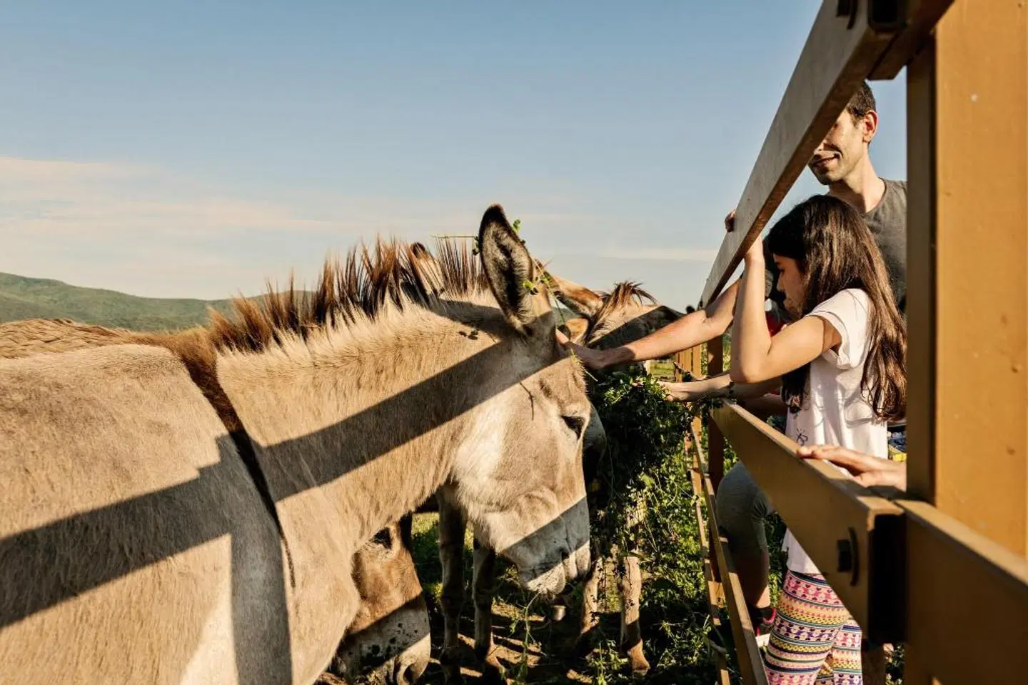 Golf Hotel Punta Ala Tiere