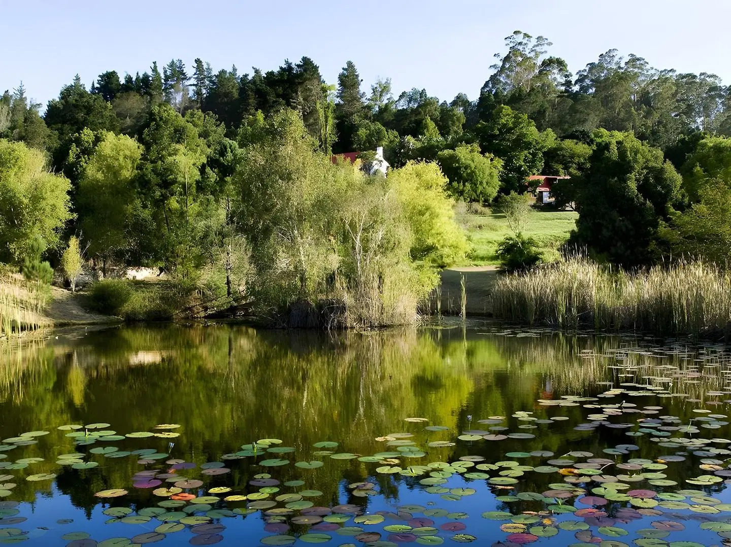 Masescha Country Estate OUTDOOR_POOL