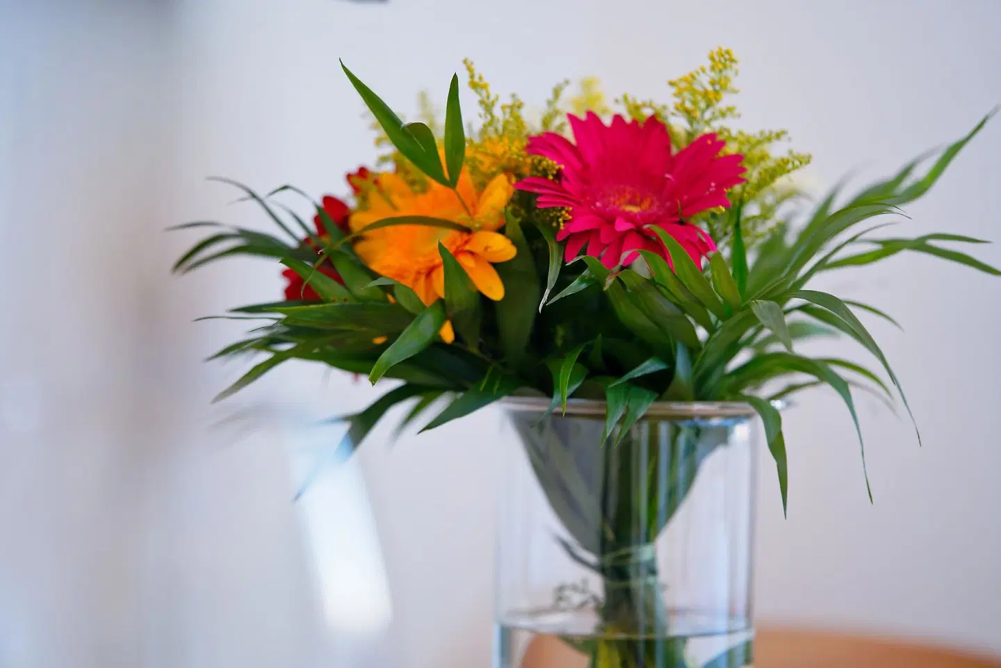 LUMA TERRA PRAGUE HOSTEL ROOM_EXAMPLE