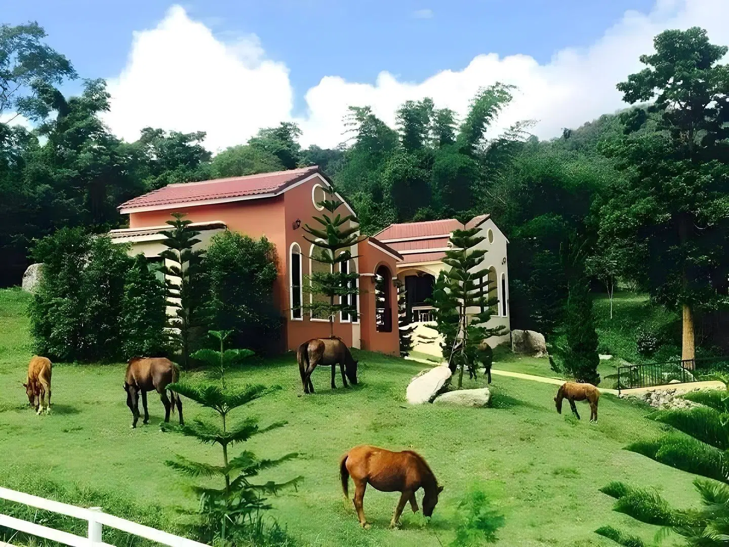 Royal Good View Resort & Farm Tiere