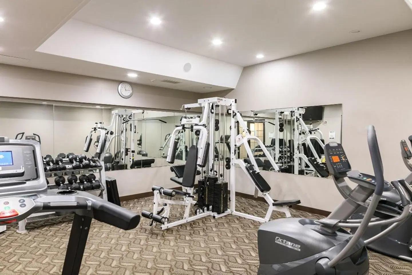 Rodd Royalty SPORTS_AND_LEISURE