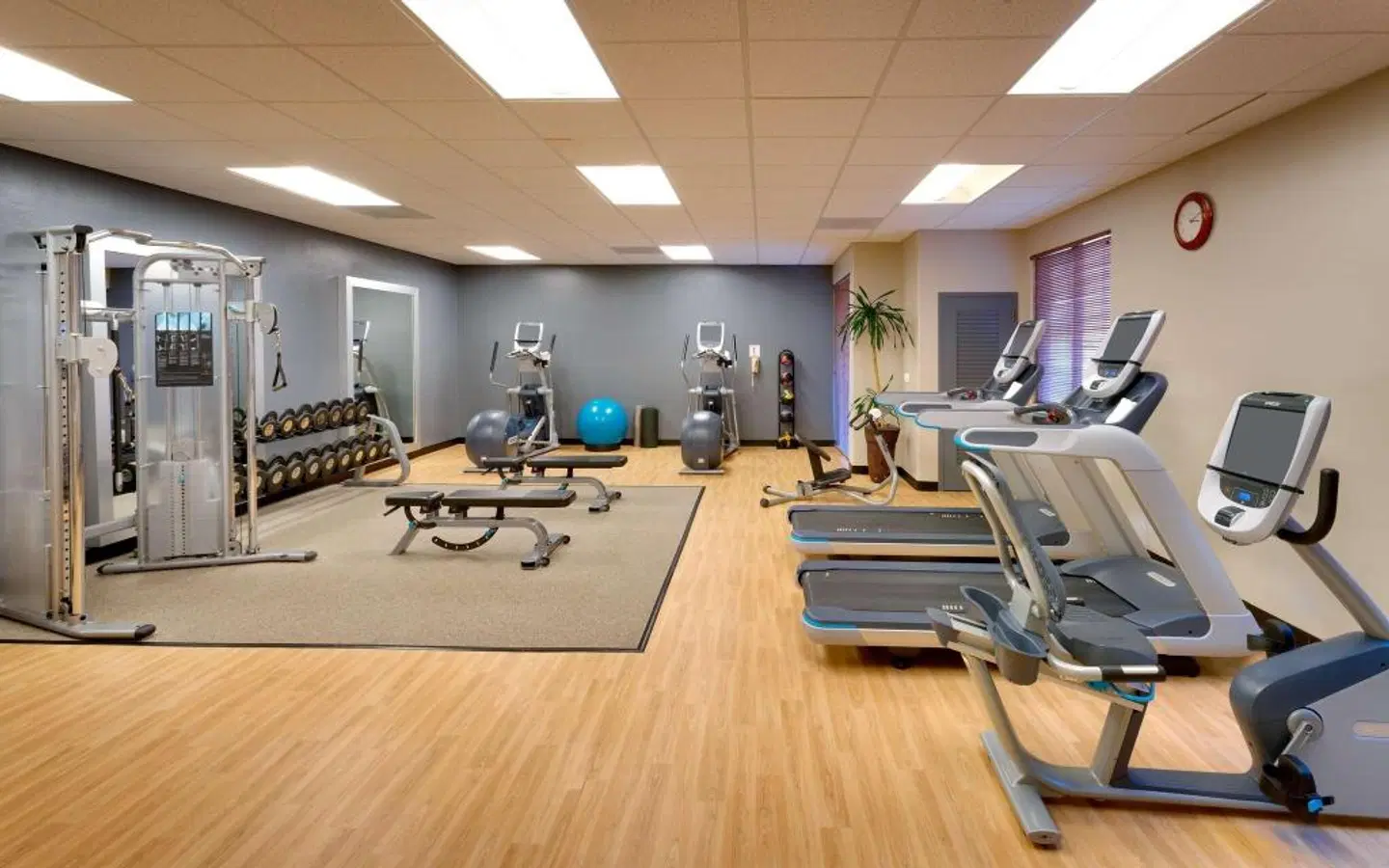 Embassy Suites by Hilton Tucson Paloma Village SPORTS_AND_LEISURE