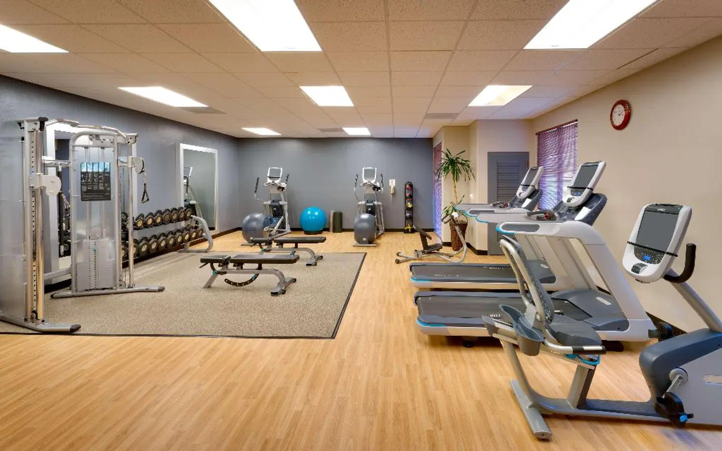 Embassy Suites by Hilton Tucson Paloma Village SPORTS_AND_LEISURE