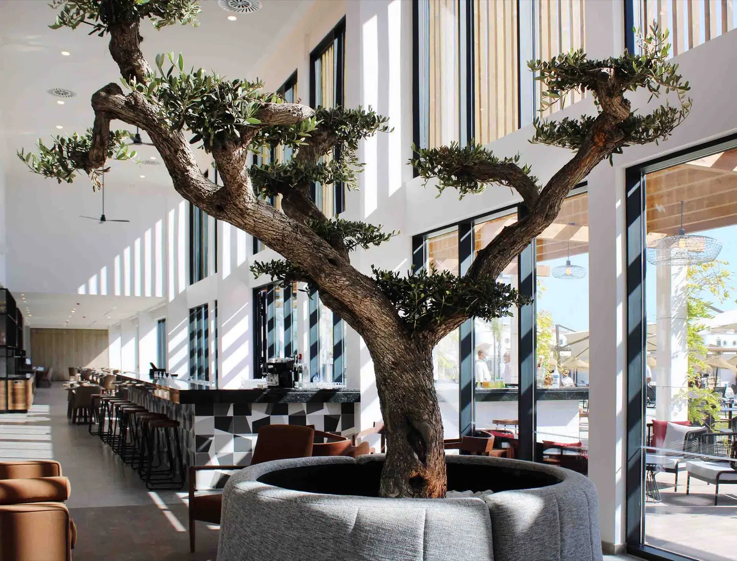 AP Cabanas Beach & Nature Terrasse