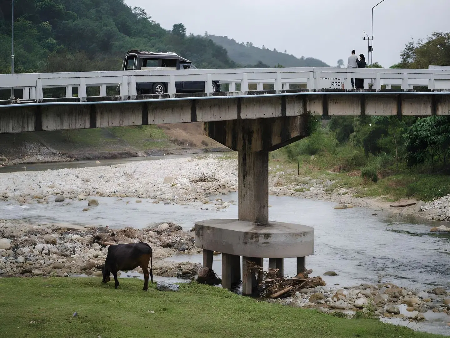 The Sky Roof Homestay @ Kiriwong ANIMAL