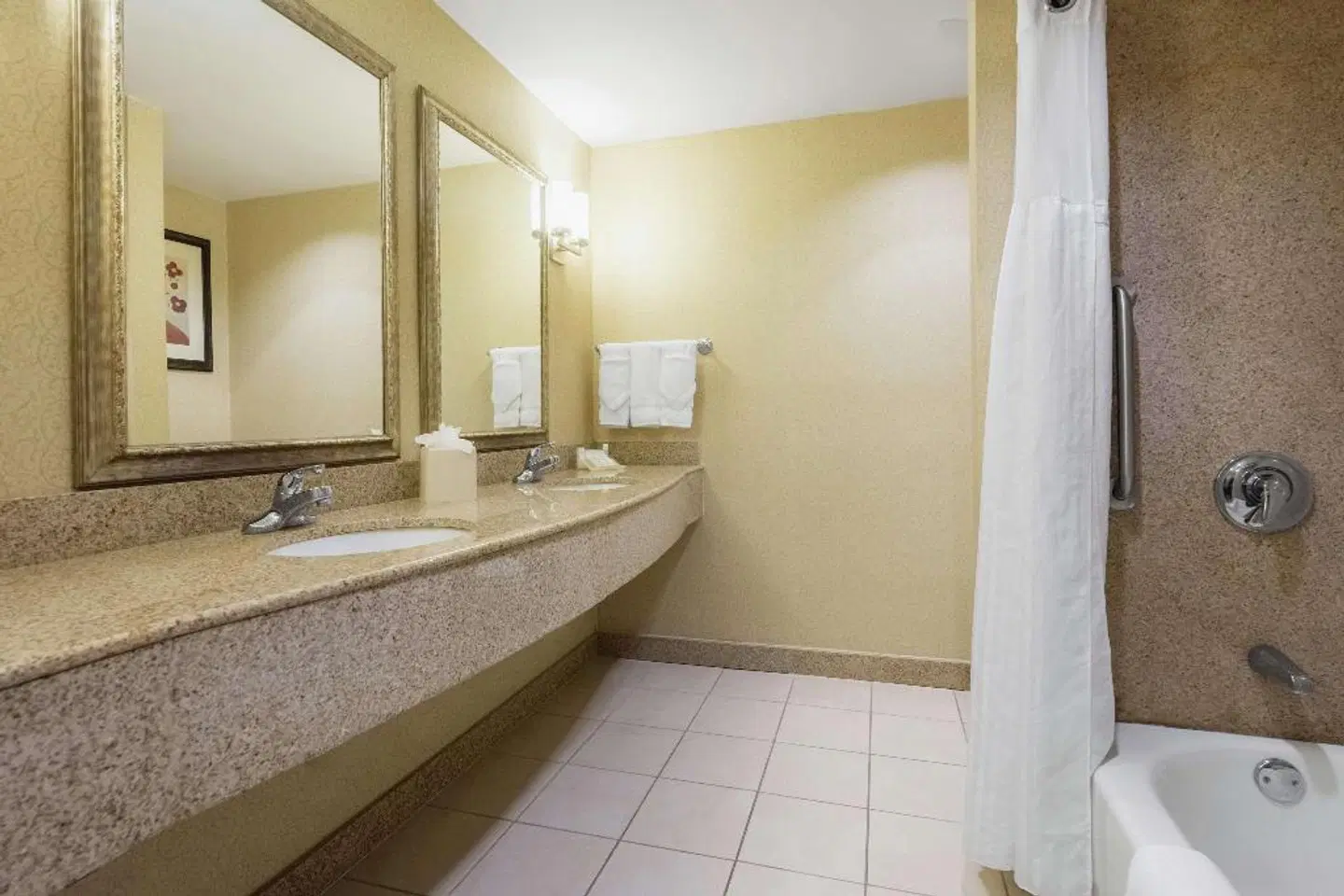 Hilton Garden Inn Meridian Badezimmer