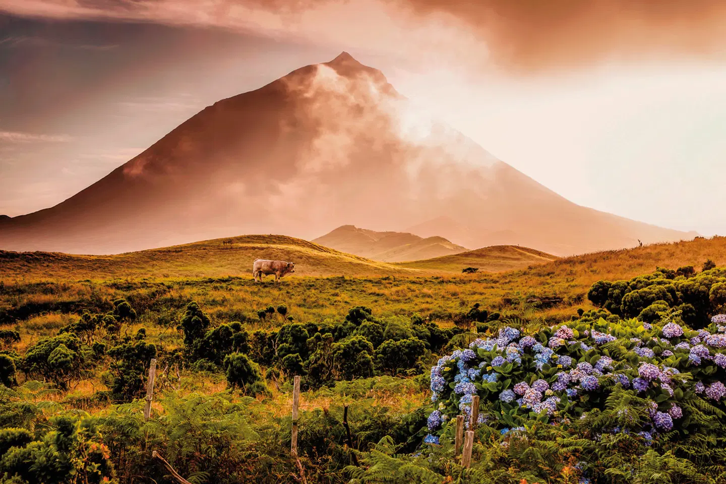Inselspringen auf den Azoren LANDSCAPE
