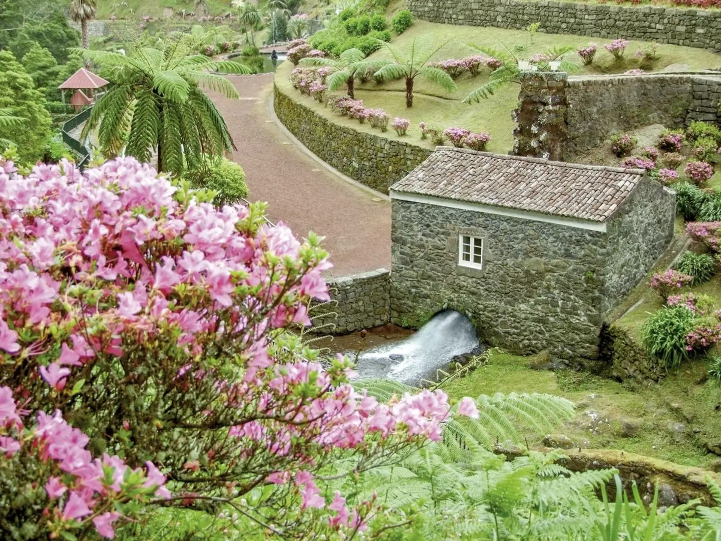 Inselspringen auf den Azoren Garten