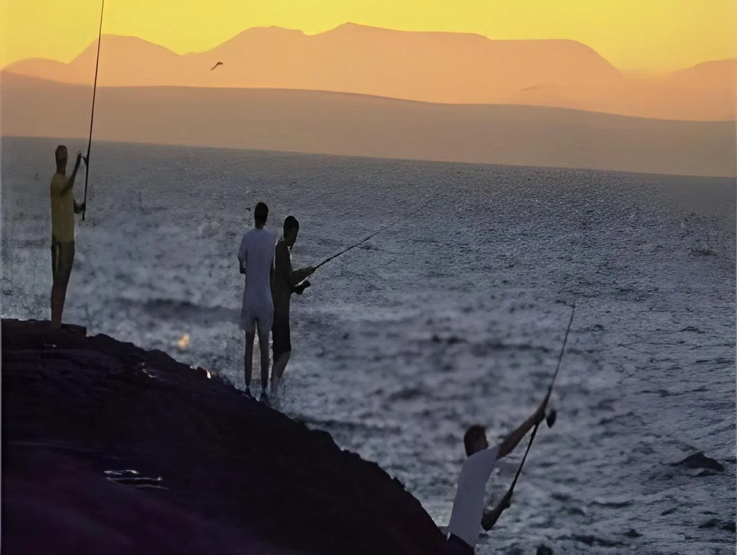 Mulroy Woods Hotel LANDSCAPE