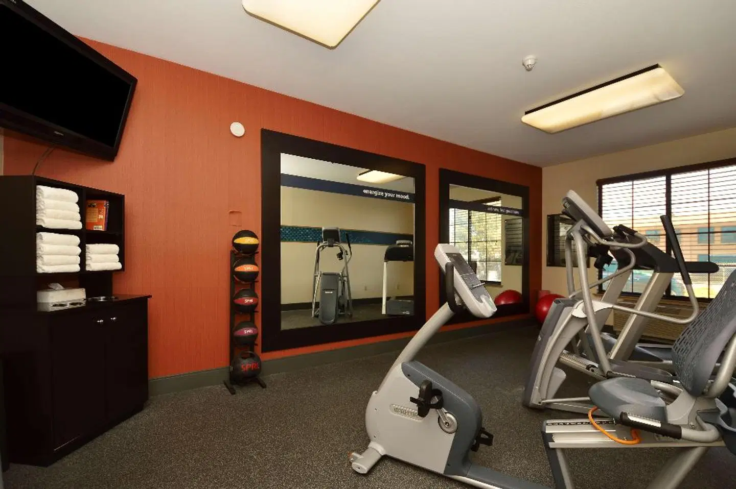 Hampton Inn & Suites San Francisco-Burlingame-Airport South SPORTS_AND_LEISURE