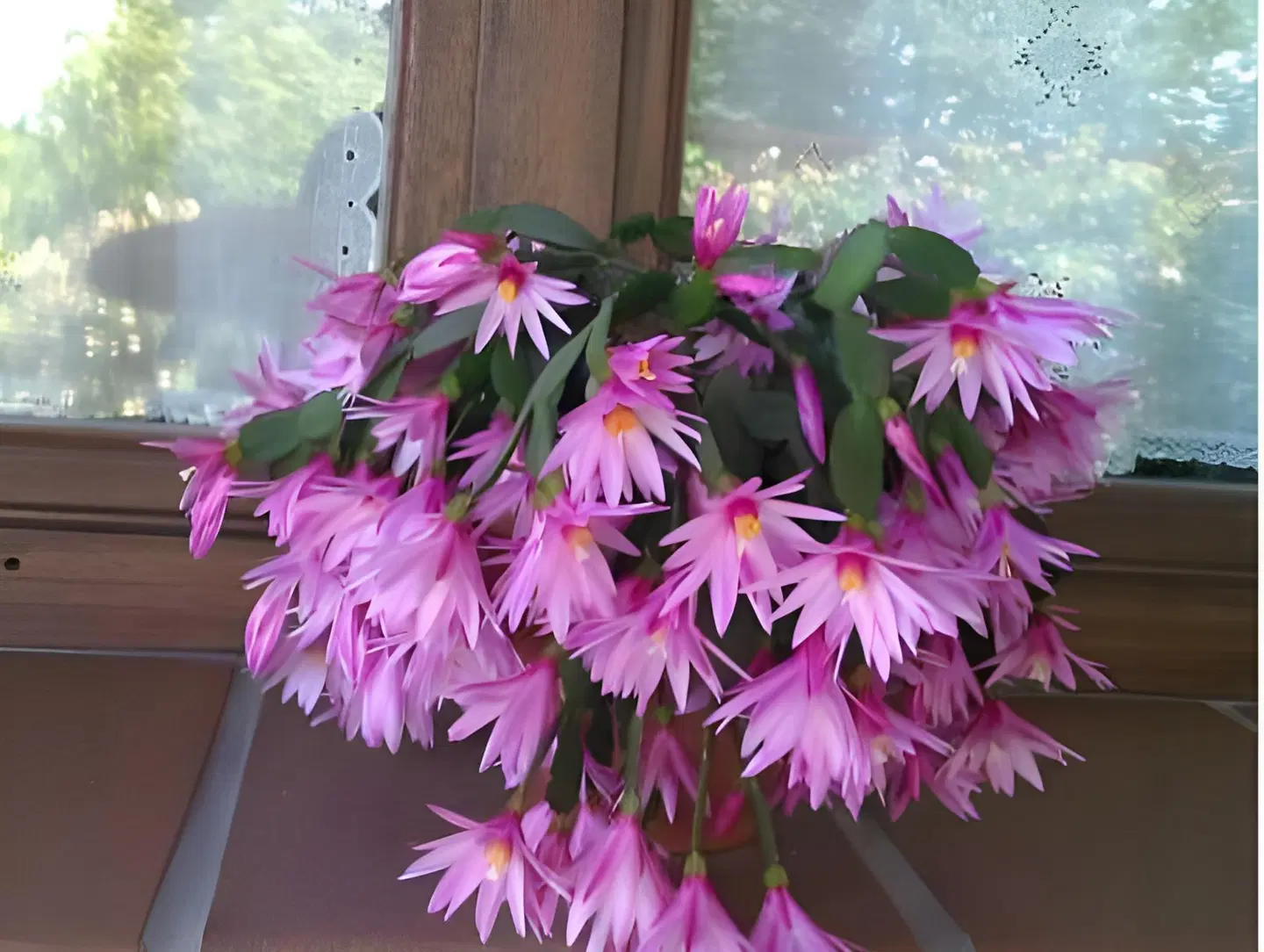 Casa Rural Ablanos de Aymar LANDSCAPE