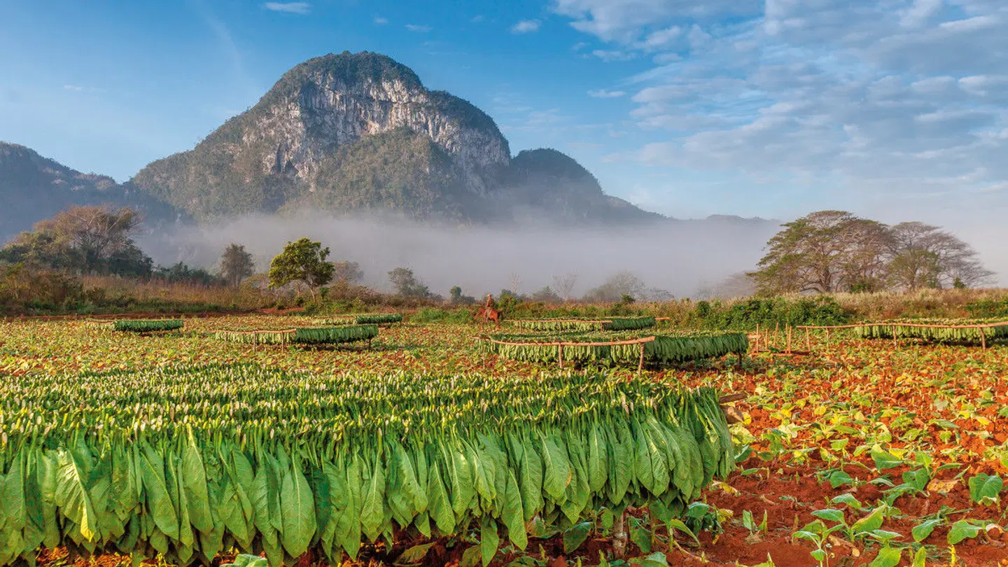 Kuba Rundreise & Baden LANDSCAPE
