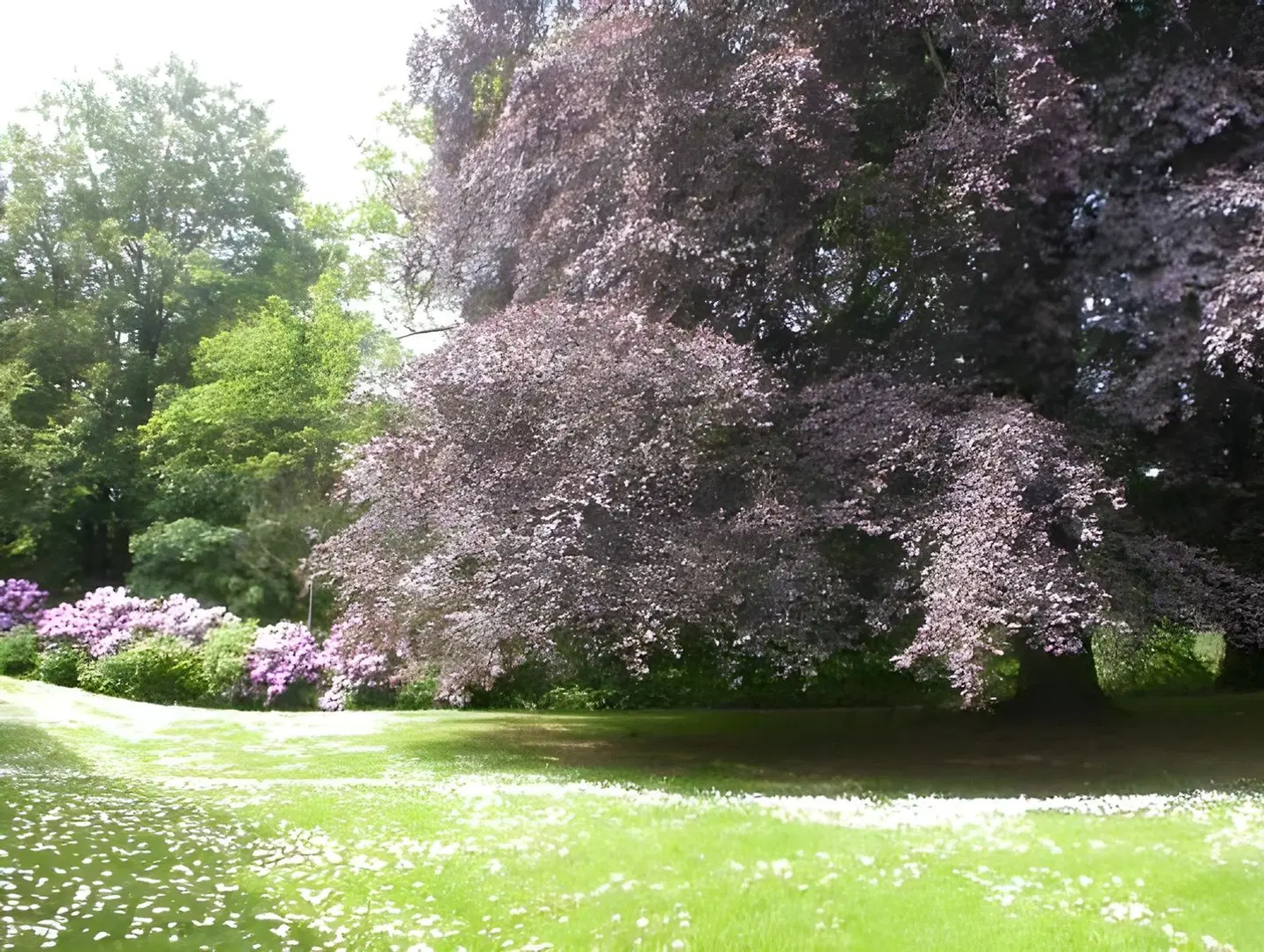 Stiftsgården Åkersberg Garten
