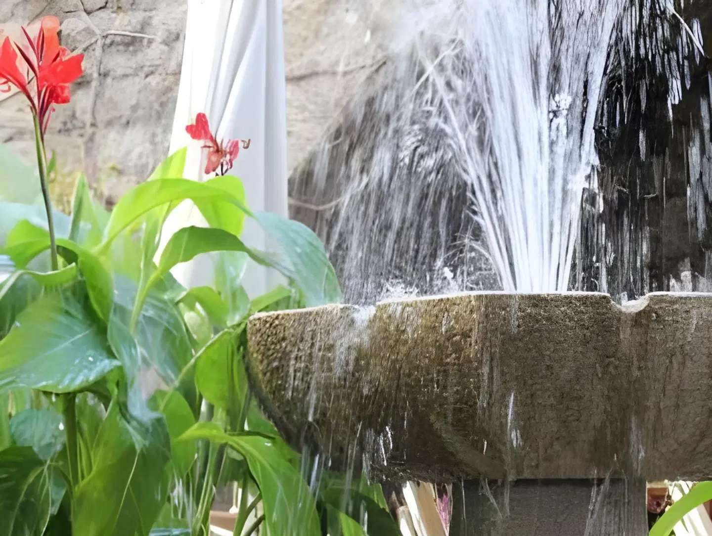 Hotel Le France TERRACE