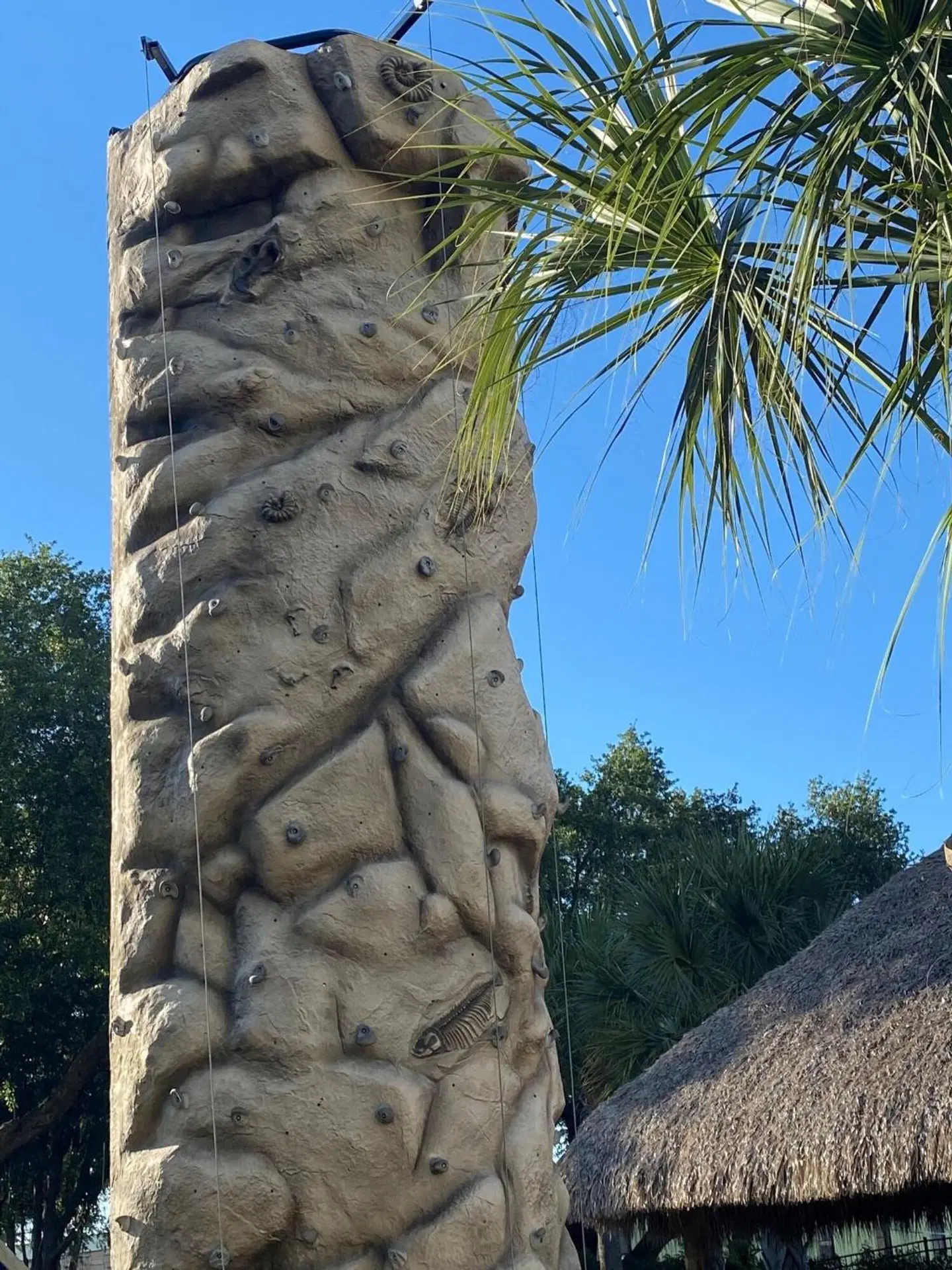 SpringHill Suites by Marriott Orlando Lake Buena Vista South EXTERIOR