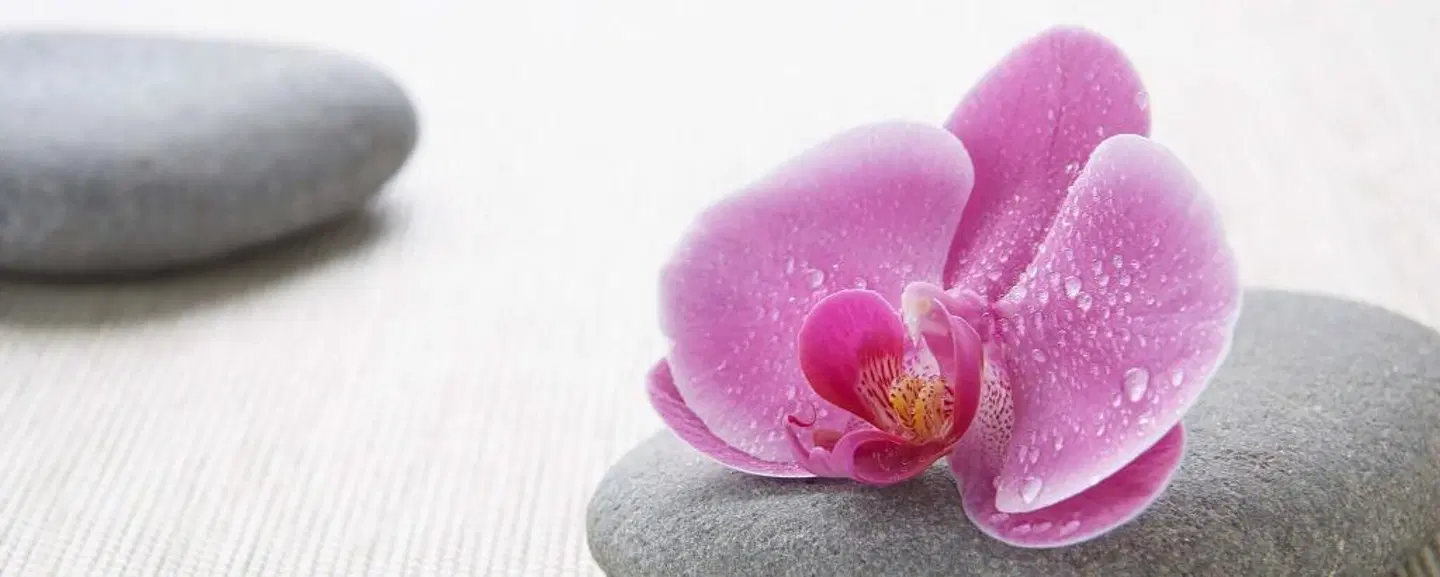 Calgary Airport Marriott In-Terminal Hotel HEALTH_BEAUTY