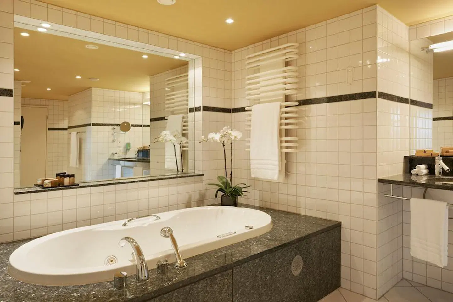 Swissôtel Kursaal Bern Badezimmer