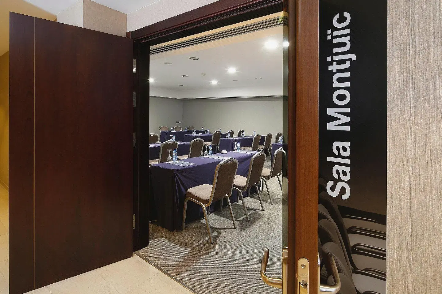 HCC Lugano Konferenz