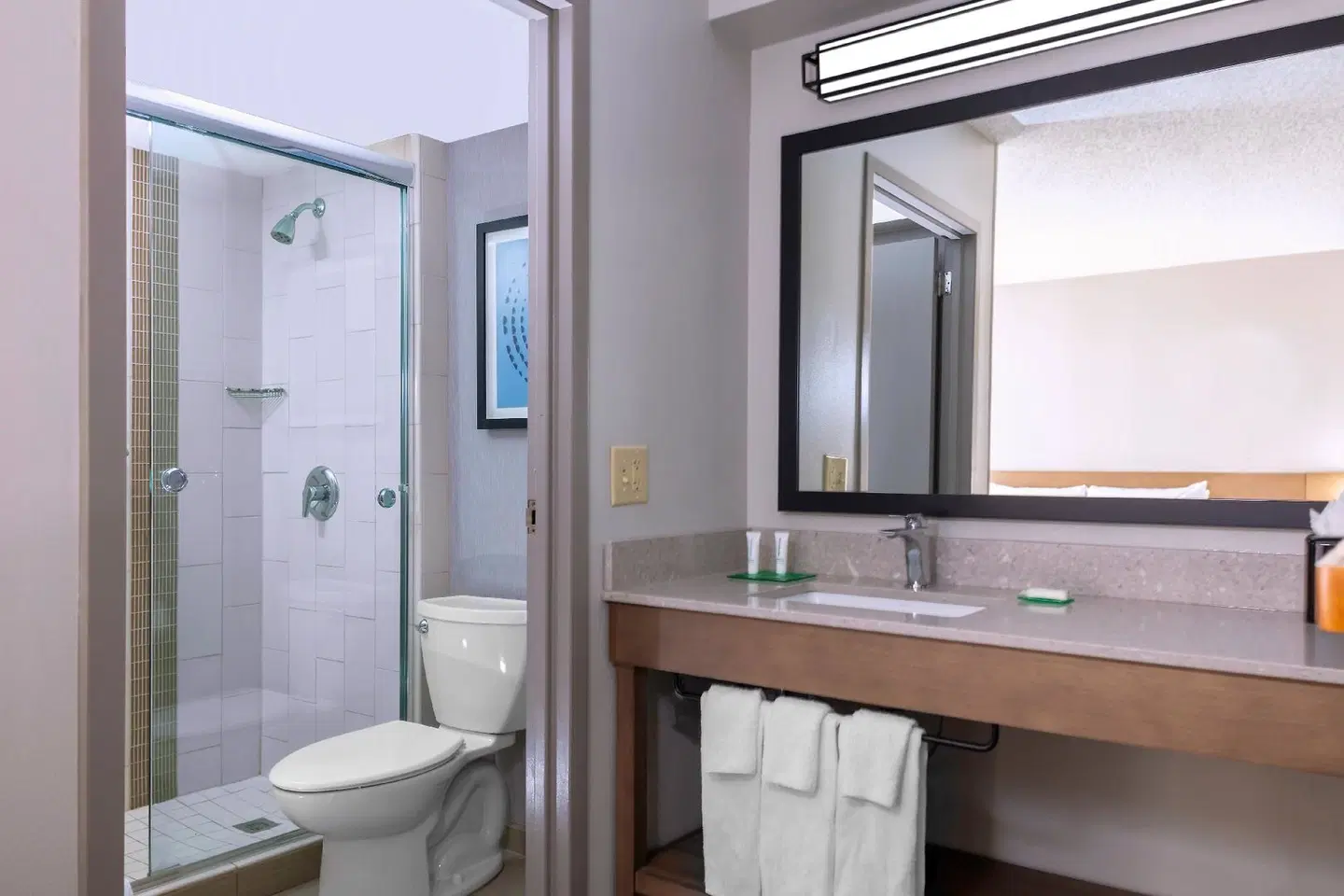 Hyatt Place Dallas/Arlington BATHROOM