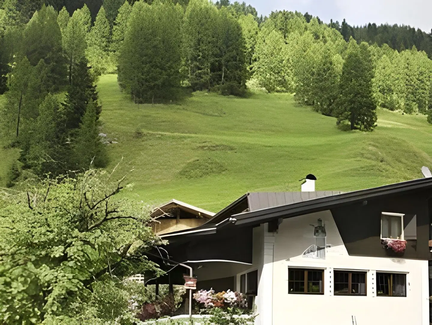Garni Hotel and Apartments Wildbach ANIMAL