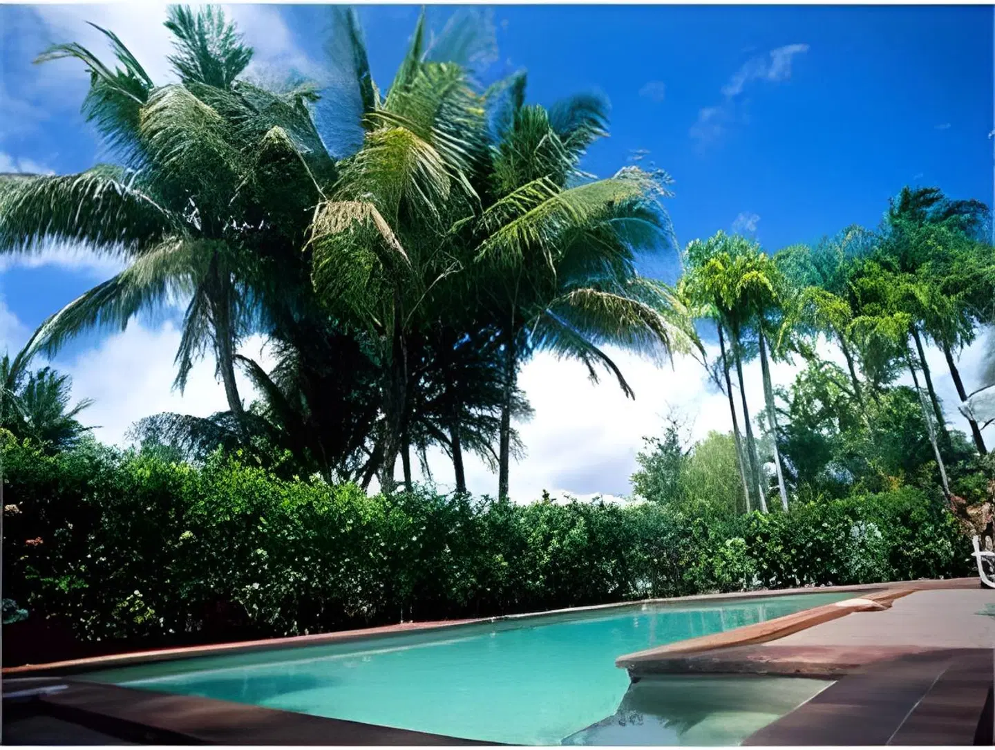 Tropical Reef Apartments SPORTS_AND_LEISURE