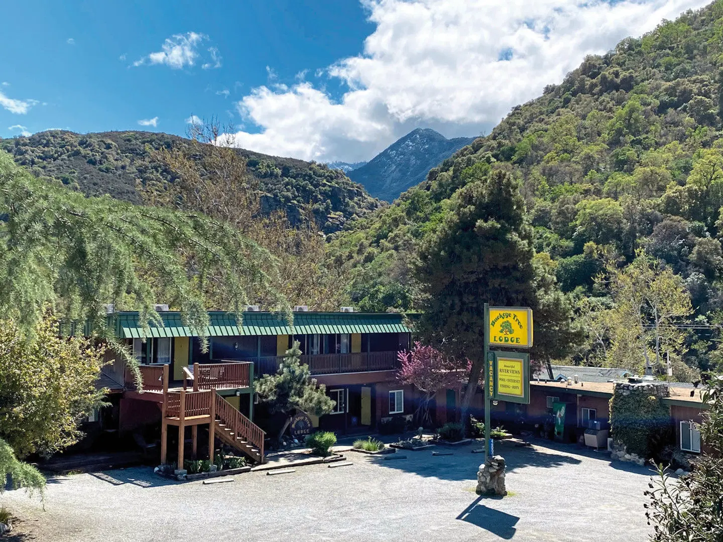 Buckeye Tree Lodge LANDSCAPE