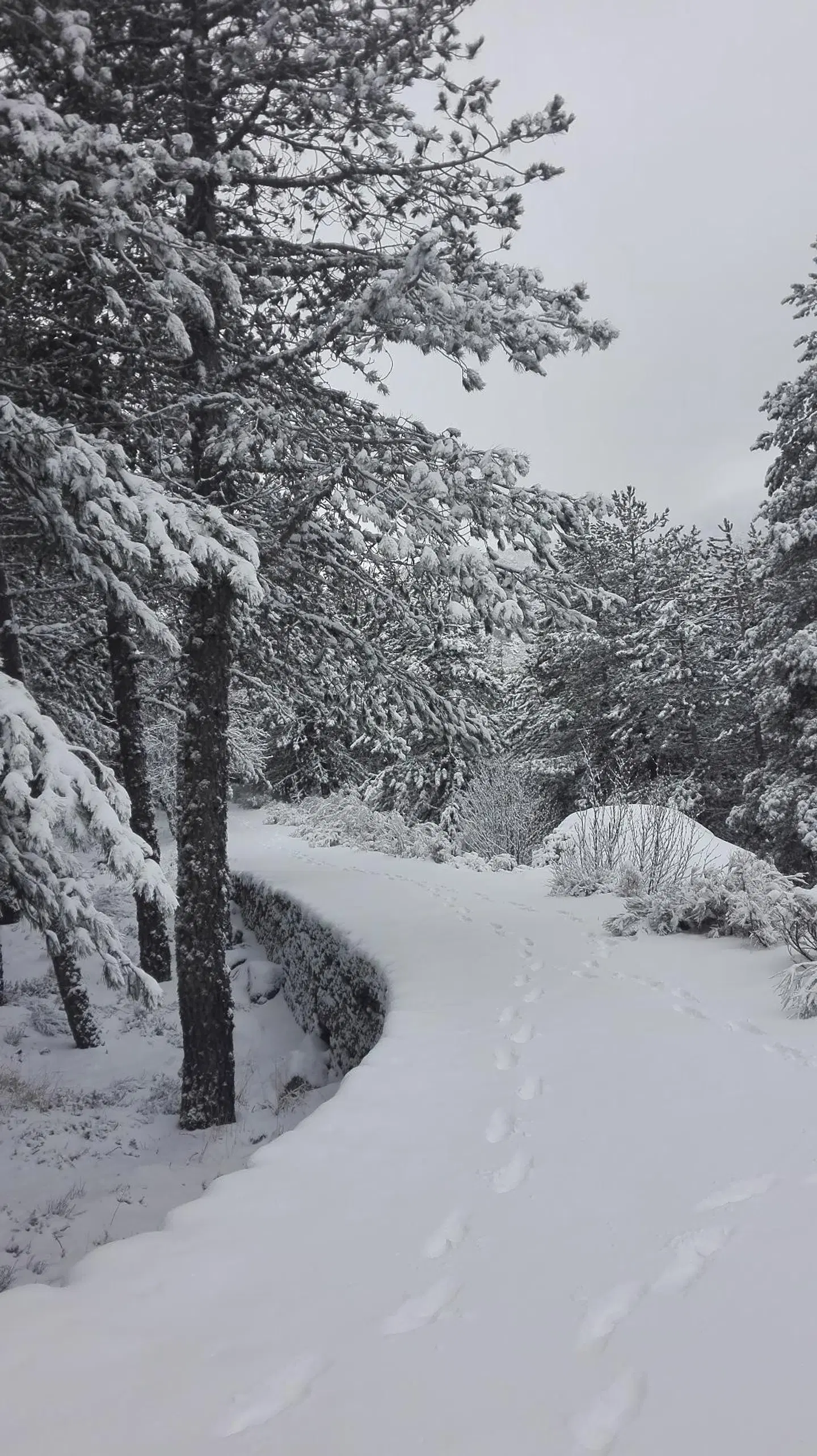 Pousada da Serra da Estrela LANDSCAPE