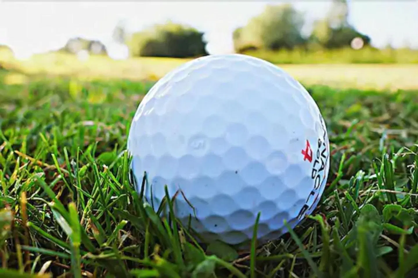 Hampton Inn Naples-I-75 SPORTS_AND_LEISURE