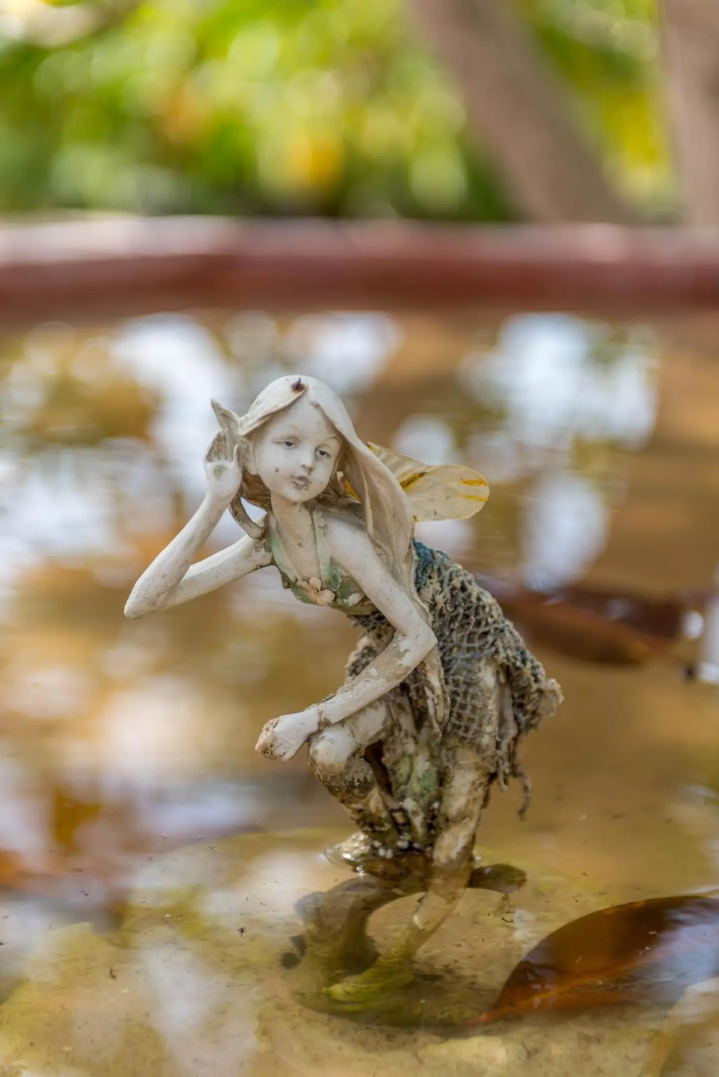 Finca Agroturismo Can Pere Sord Tiere