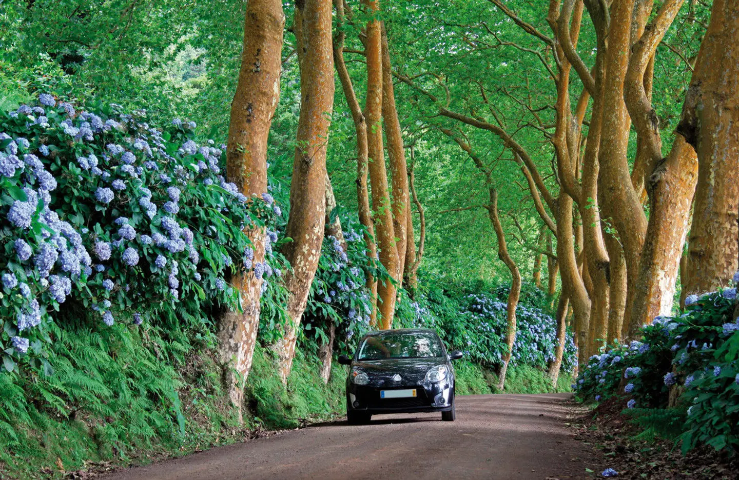 Kraterseen, Blumenpracht und Weltkulturerbe (Autoreise) LANDSCAPE