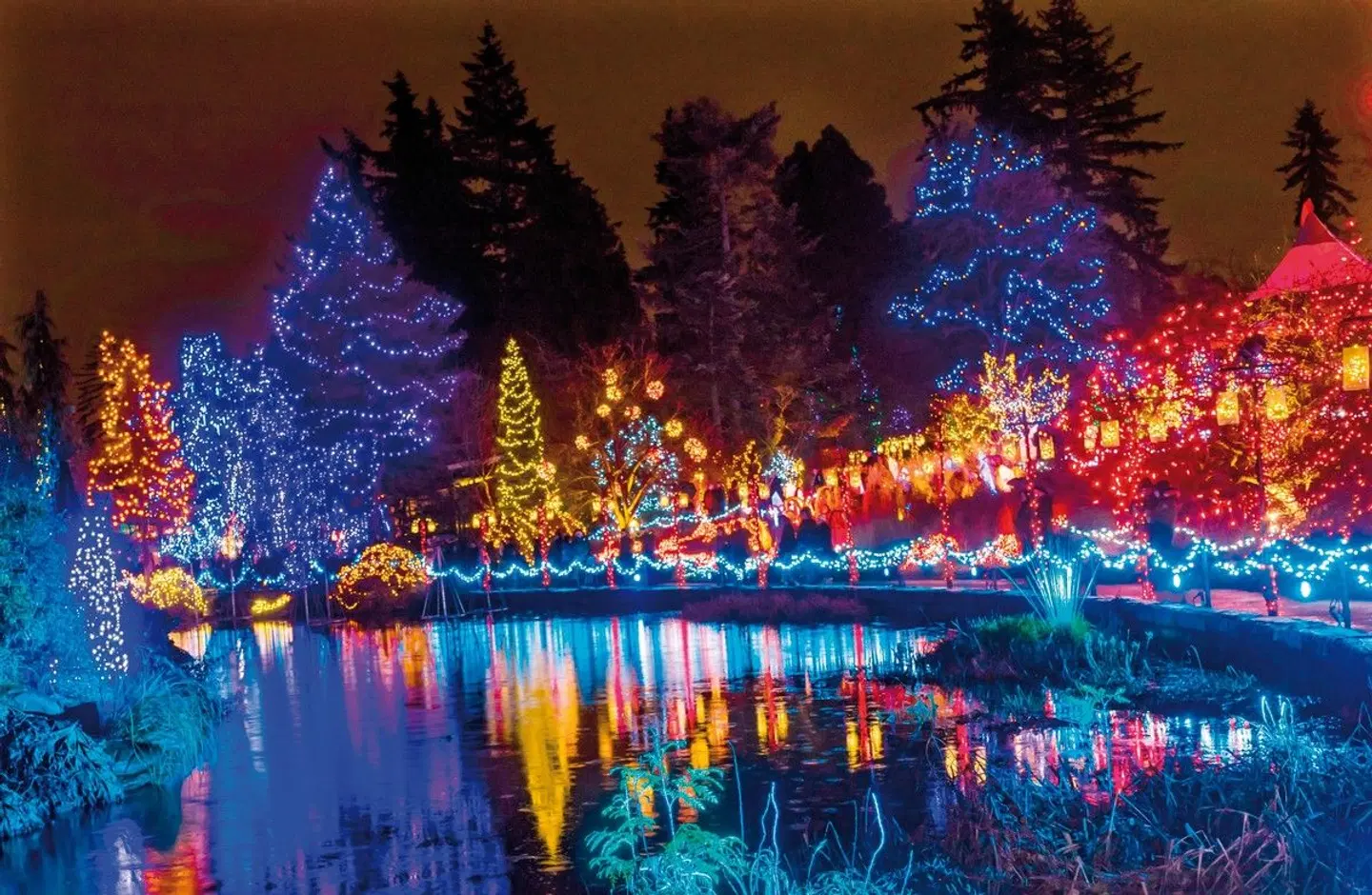 Vancouver & Victoria Winter Experience OUTDOOR_POOL