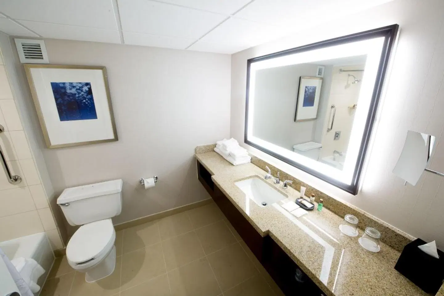 Sheraton Memphis Downtown Hotel BATHROOM