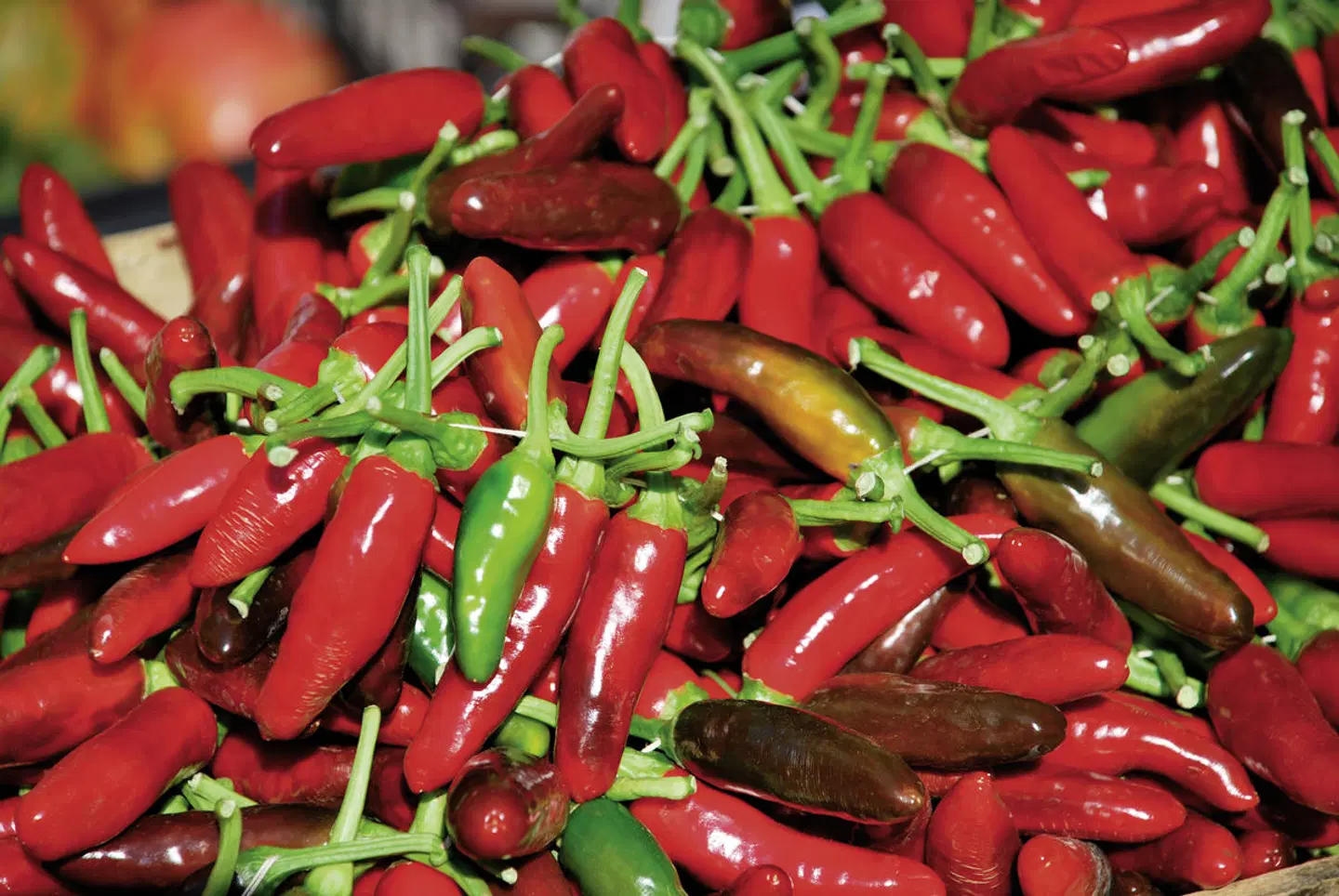 Kampanien Rundreise Restaurant