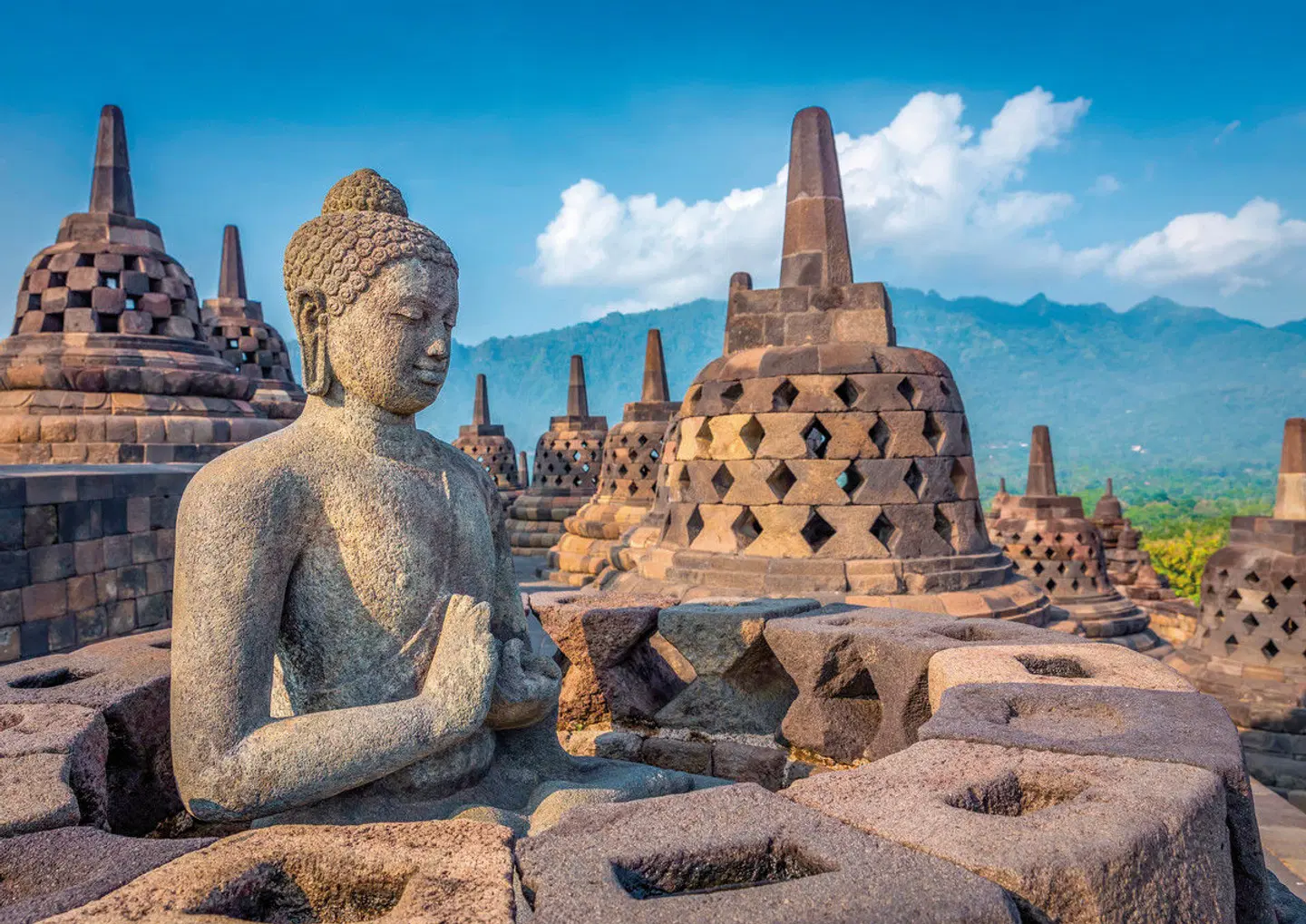 Java und Bali Rundreise Tiere