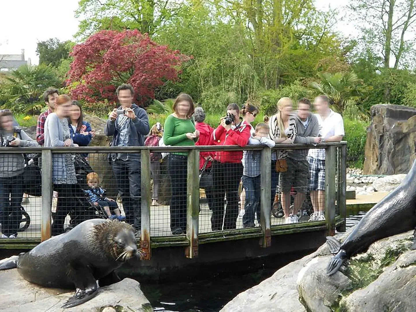 Mercure Bristol Holland House Tiere