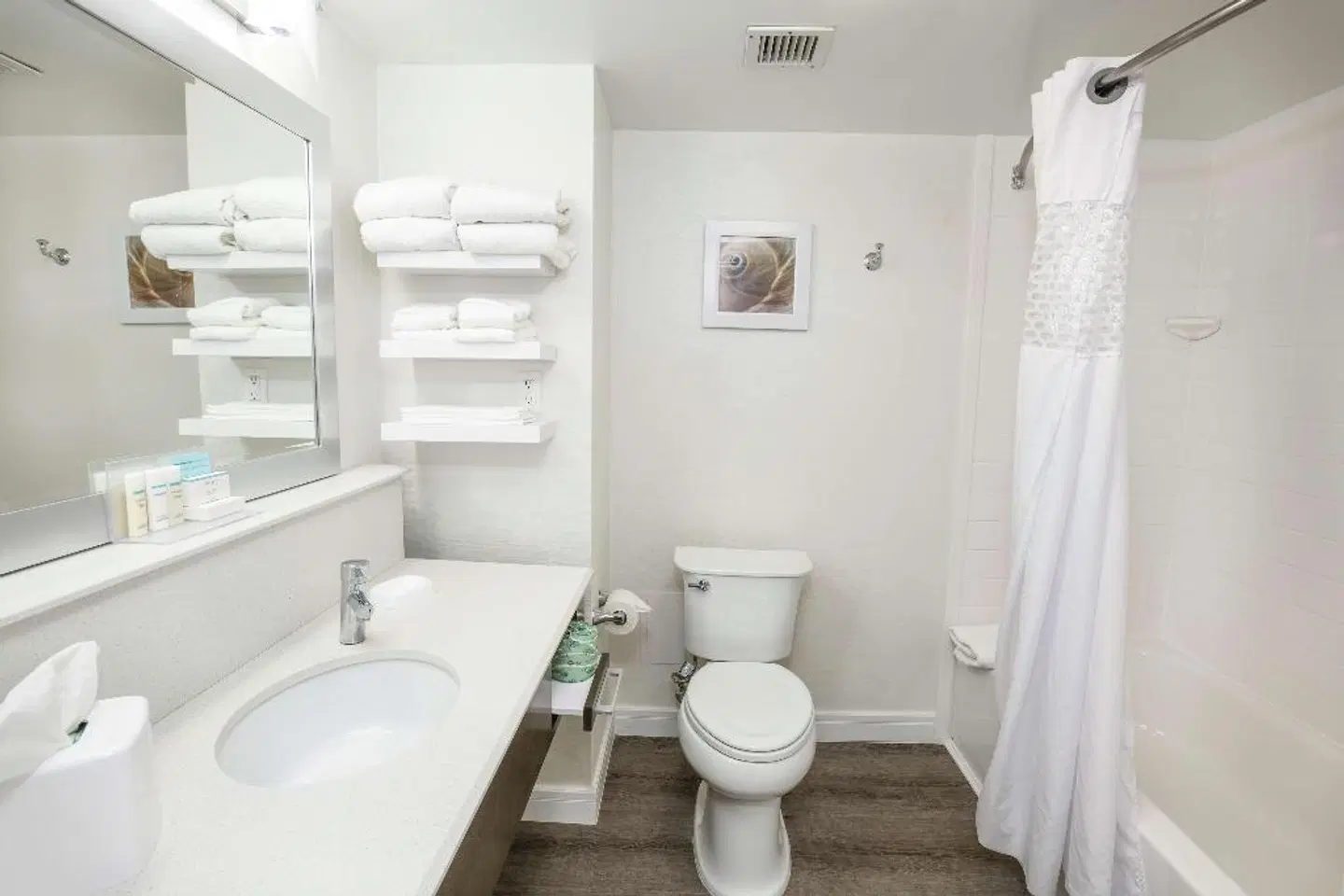 Hampton Inn Jacksonville - East Regency Square Badezimmer