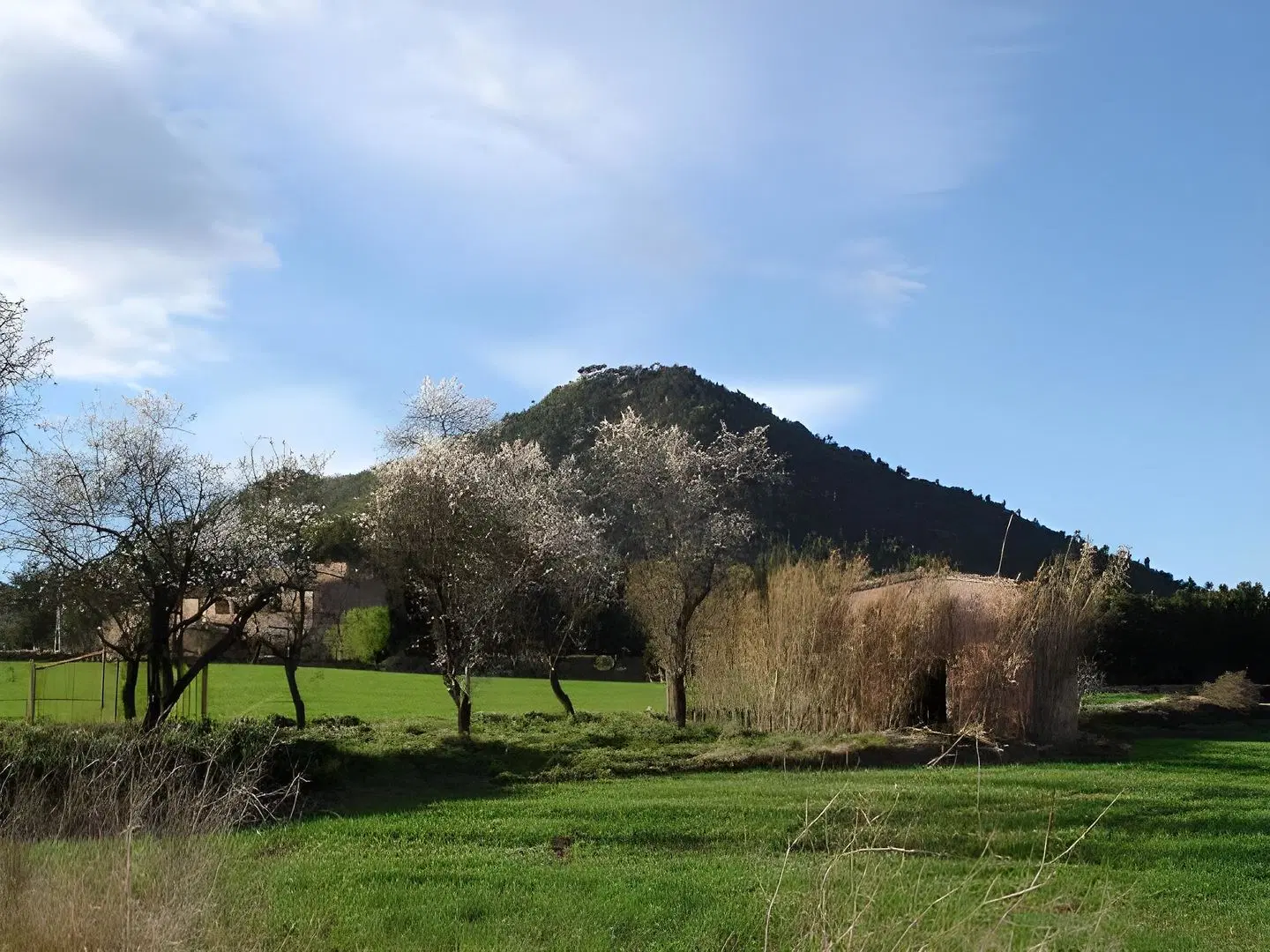 1948 Manresa LANDSCAPE