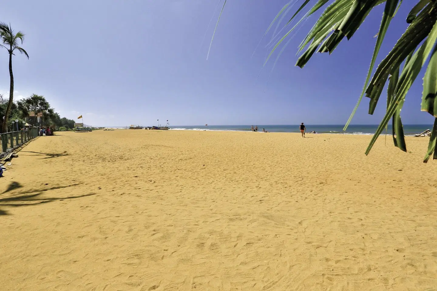 Hibiscus Beach Hotel & Villas BEACH