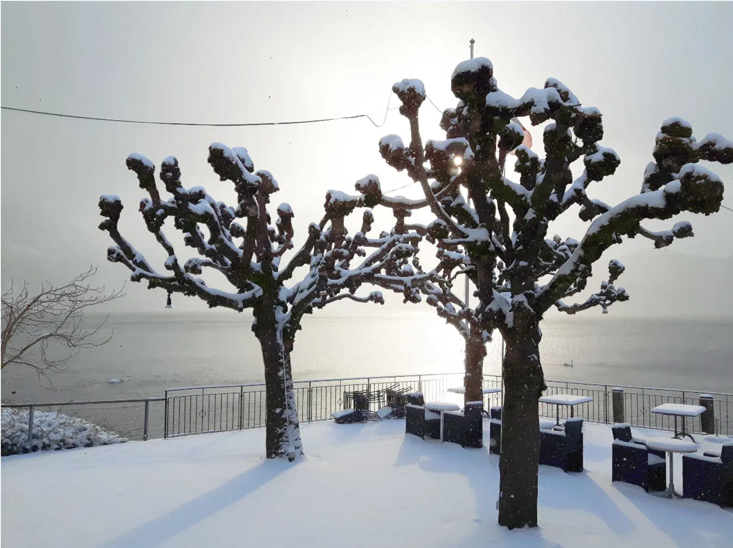 Central am See LANDSCAPE