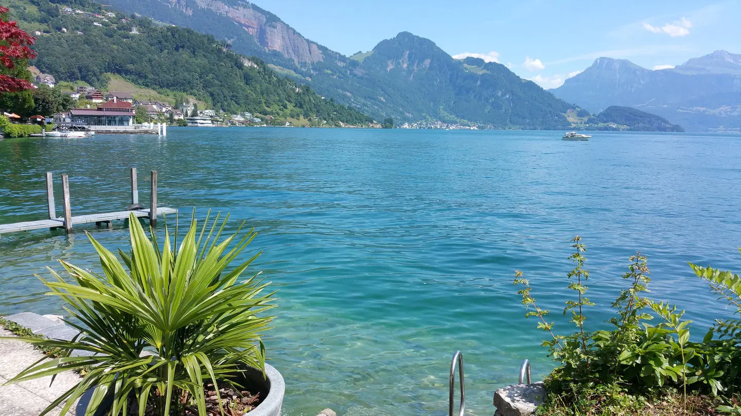 Central am See LANDSCAPE