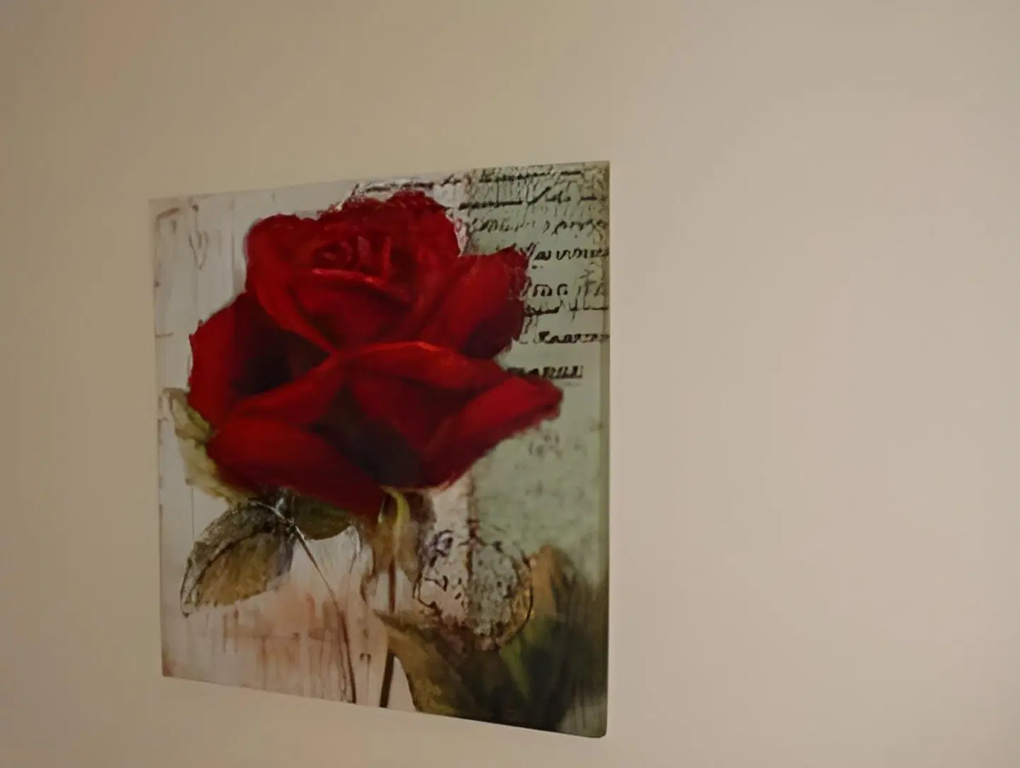 Petit Hôtel Amara ROOM_EXAMPLE